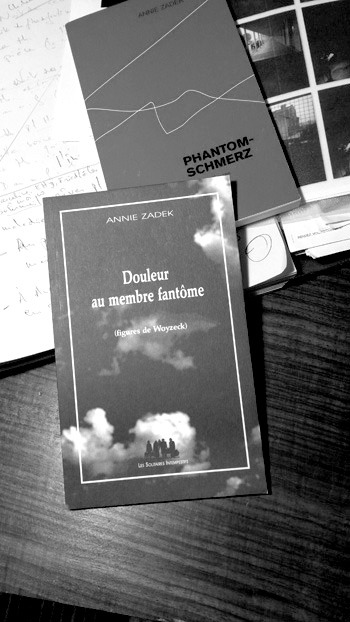 Couverture du livre Douleur Au Membre Fantôme