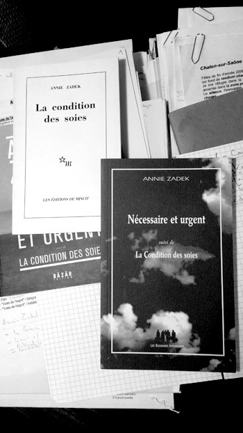 Couverture du livre La Condition des soies